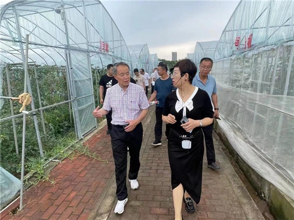 巧打组合拳 陈田变福田