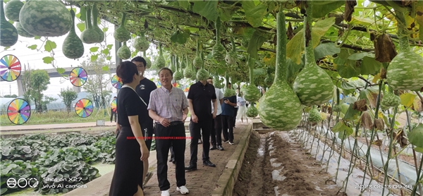 巧打组合拳 陈田变福田
