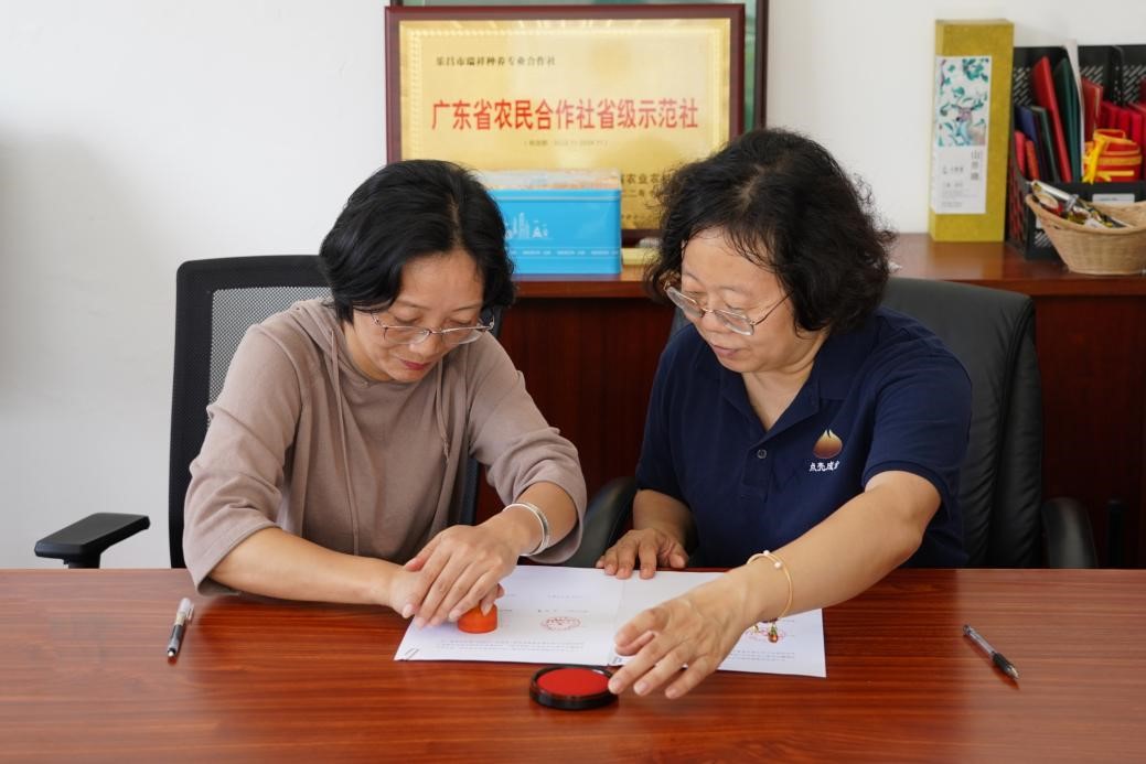 点壳成金  一颗油茶果助力乡村振兴 ——广东青年大学生实践团前往乐昌市长塘村开展“油茶产业与乡村振兴”调研活动