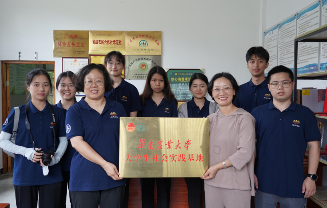 点壳成金  一颗油茶果助力乡村振兴 ——广东青年大学生实践团前往乐昌市长塘村开展“油茶产业与乡村振兴”调研活动