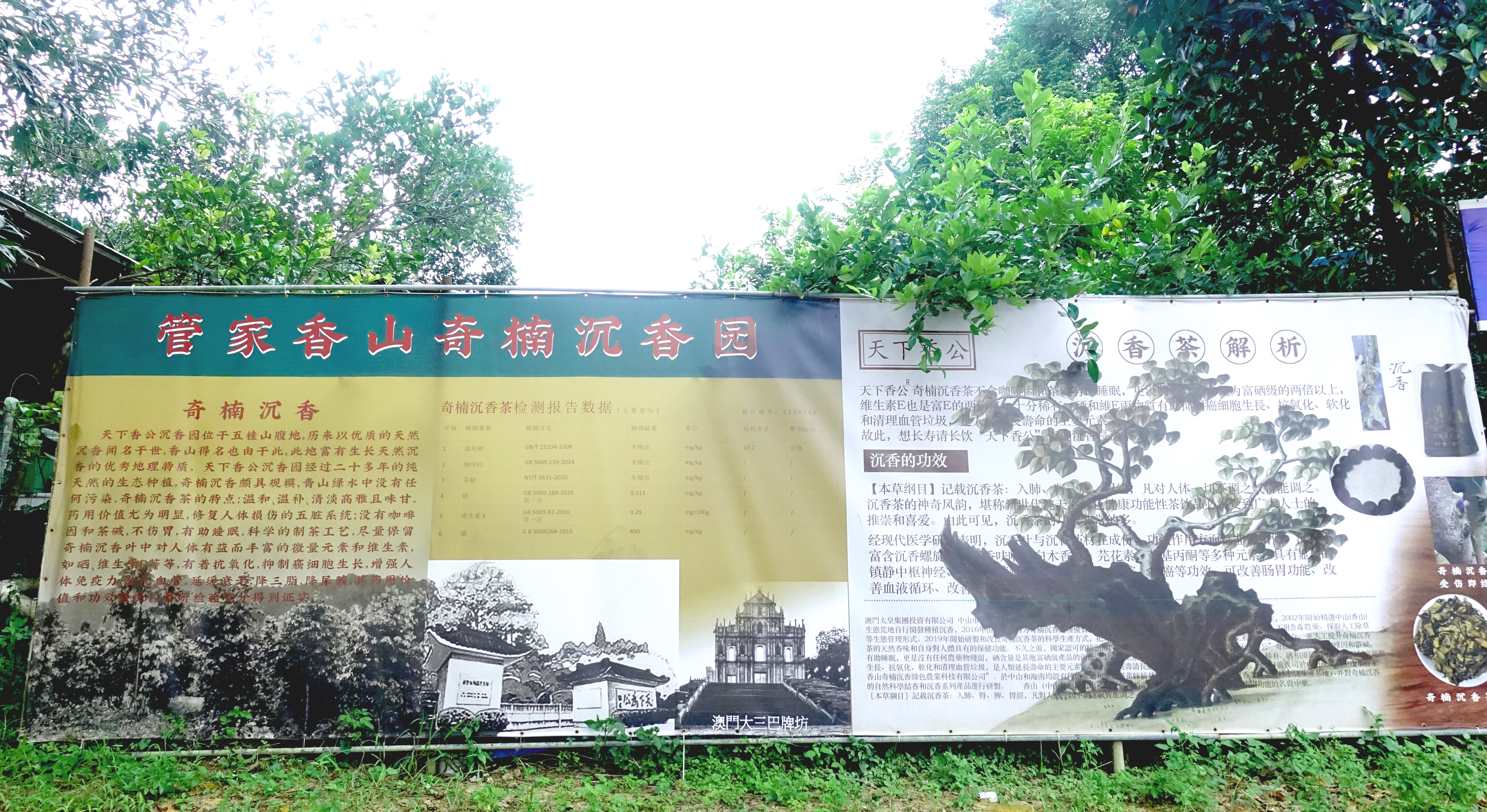 金秋九月管家香山奇楠沉香园迎新贵