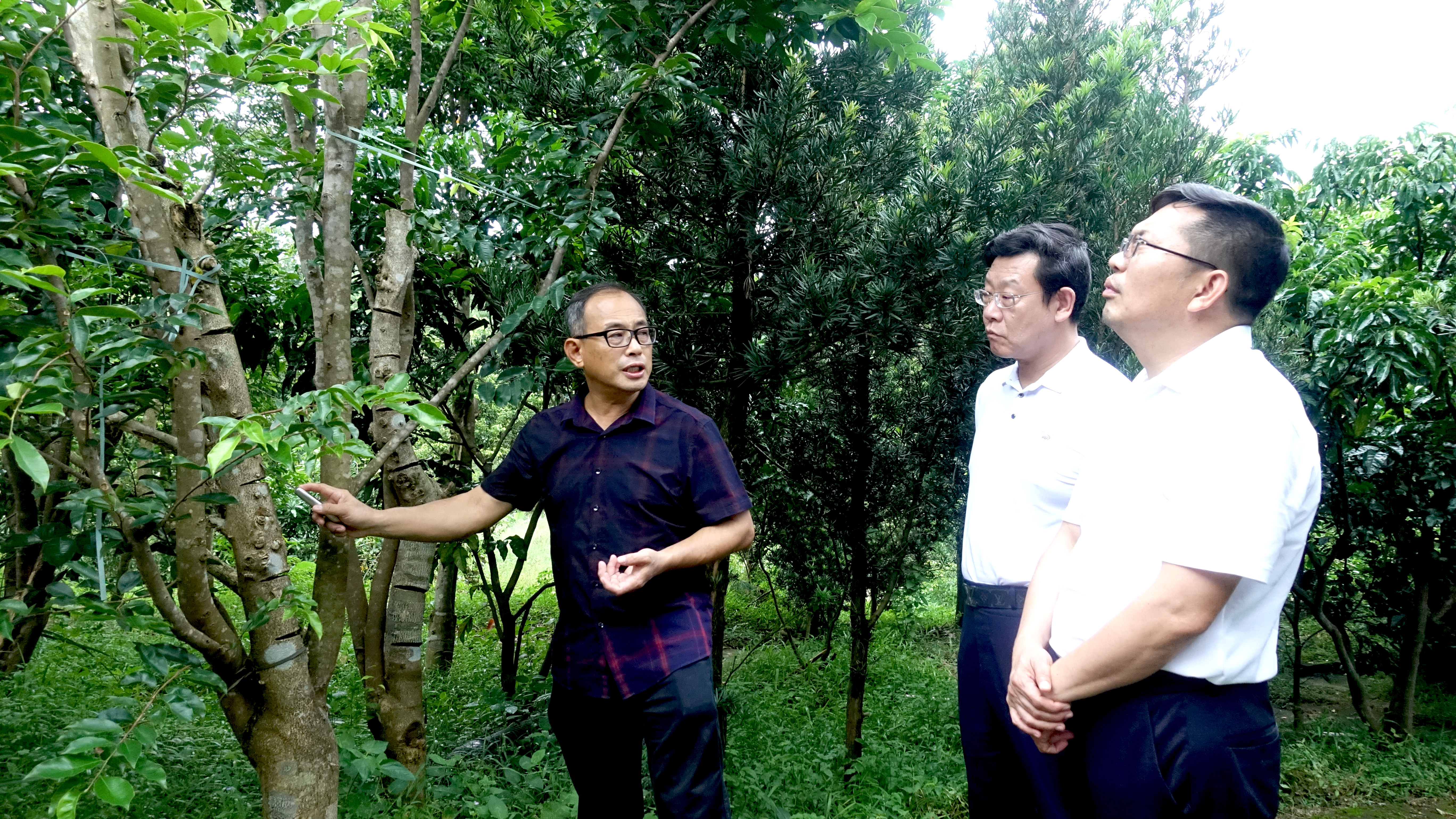 金秋九月管家香山奇楠沉香园迎新贵