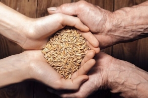 世粮署：粮食援助每减少1%可能将逾40万人推向饥饿边缘