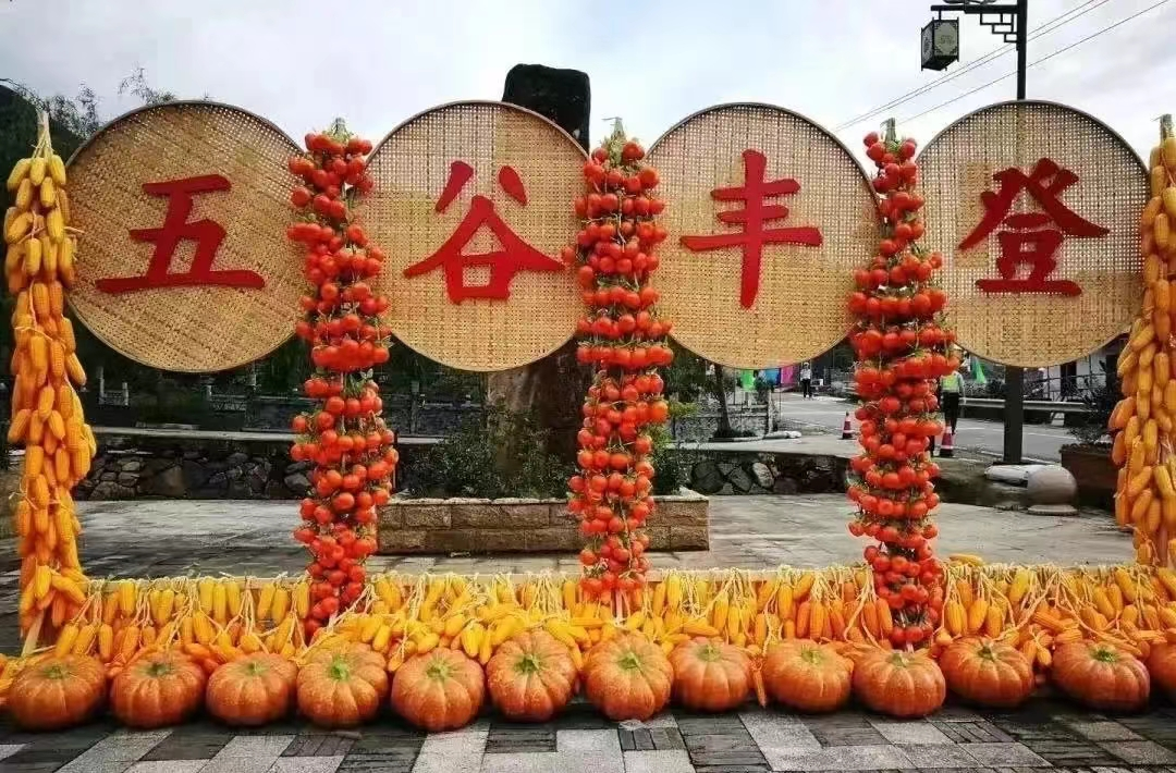 金秋健康游 畅享百草园—2023华佗 百草园金秋旅游季系列活动方案