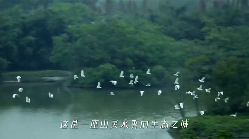 江门举办短视频众创大赛  展现城市魅力