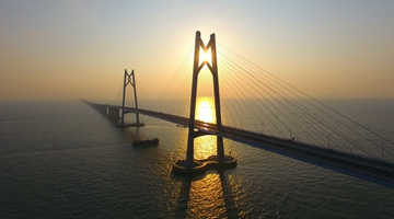 “2023年内地—澳门商会联席会议”共商携手参与大湾区建设