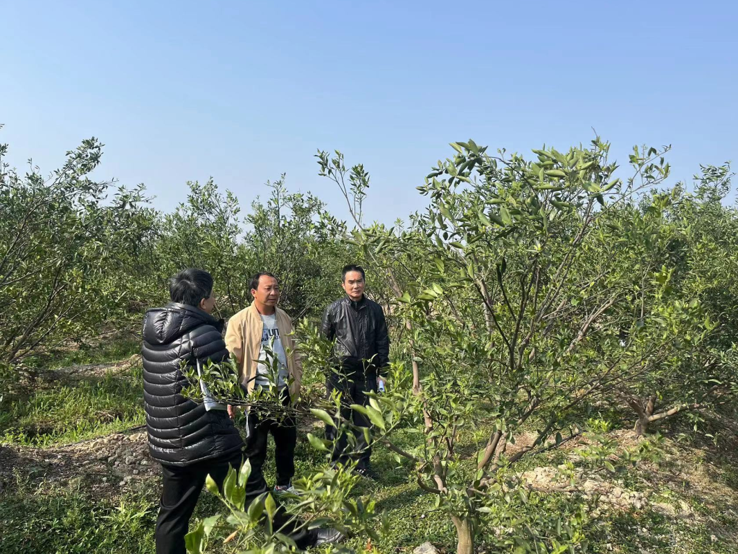 广东江门新会司前镇司前村:党建引领聚合力,强企富民促振兴