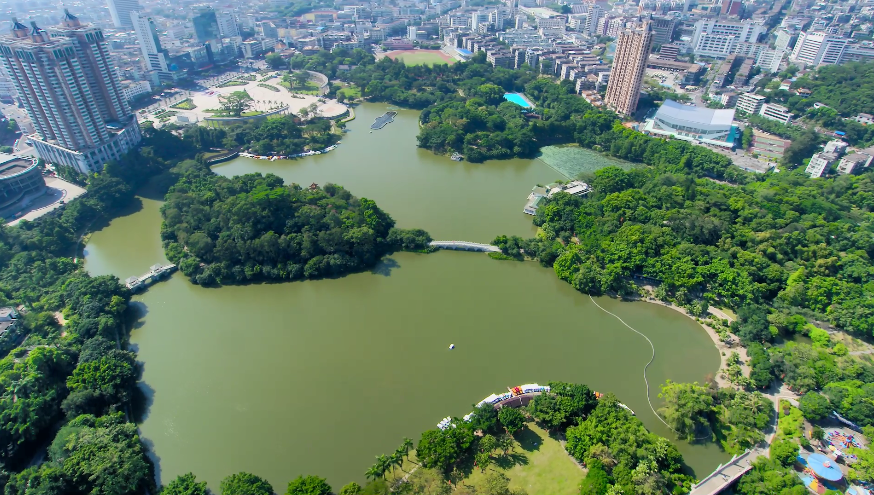 江门市蓬江区立足“四个三” 聚焦“四个力” 以高水平法治保障侨都高质量发展