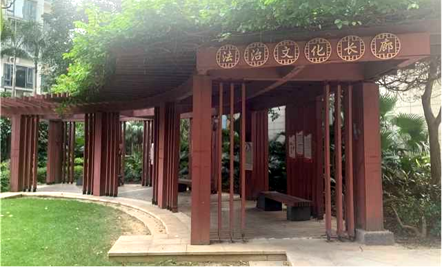 江门市蓬江区立足“四个三” 聚焦“四个力” 以高水平法治保障侨都高质量发展