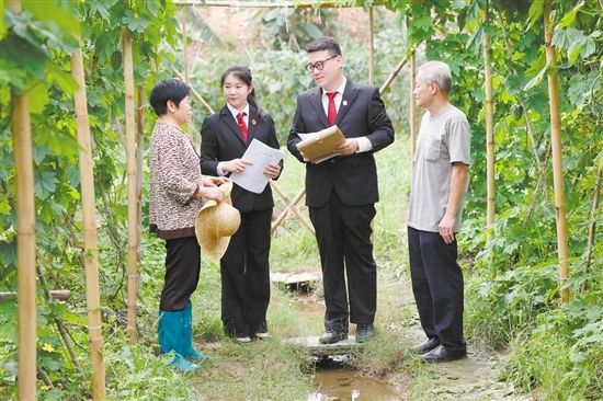 江门市蓬江区立足“四个三” 聚焦“四个力” 以高水平法治保障侨都高质量发展