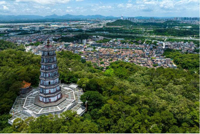 江门市新会区住房和城乡建设局获全省历史文化保护传承工作先进集体称号