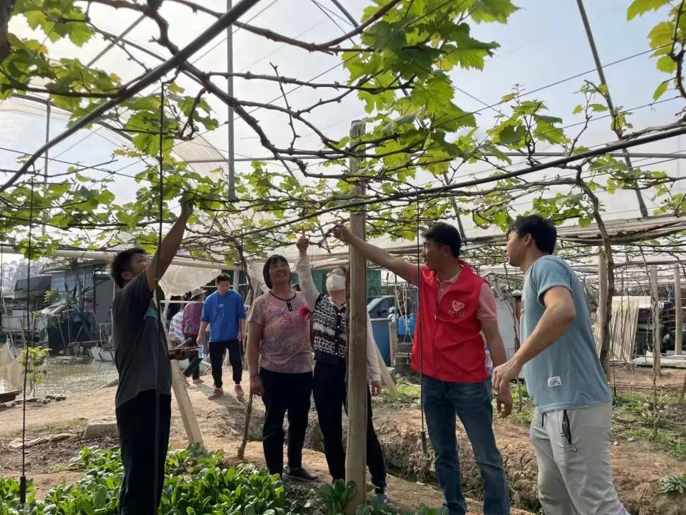江门市江海区:用好小组长 发挥大作用