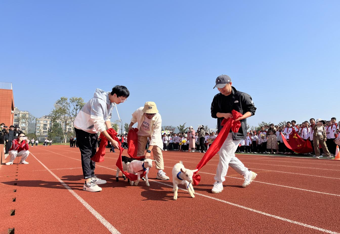 阳光体育,精彩紫东——校园处处激情飞扬
