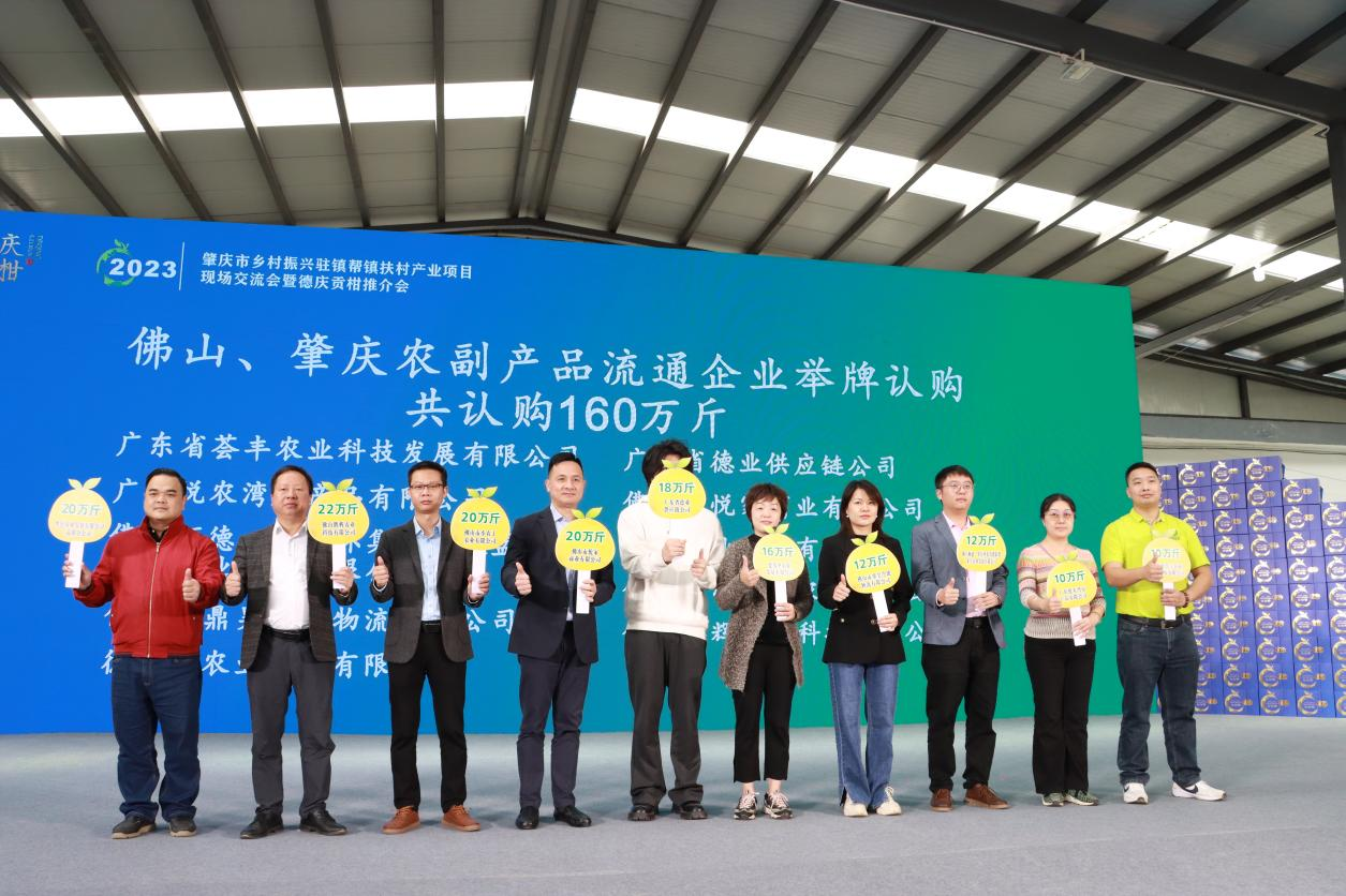 肇庆举办大型帮扶工作现场交流会