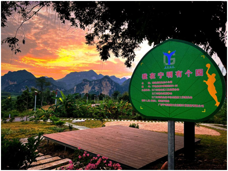 【新会宁明 粤桂协作】广西宁明县积极开展“我在广西有个园”活动,推广广东“四小园”经验做法