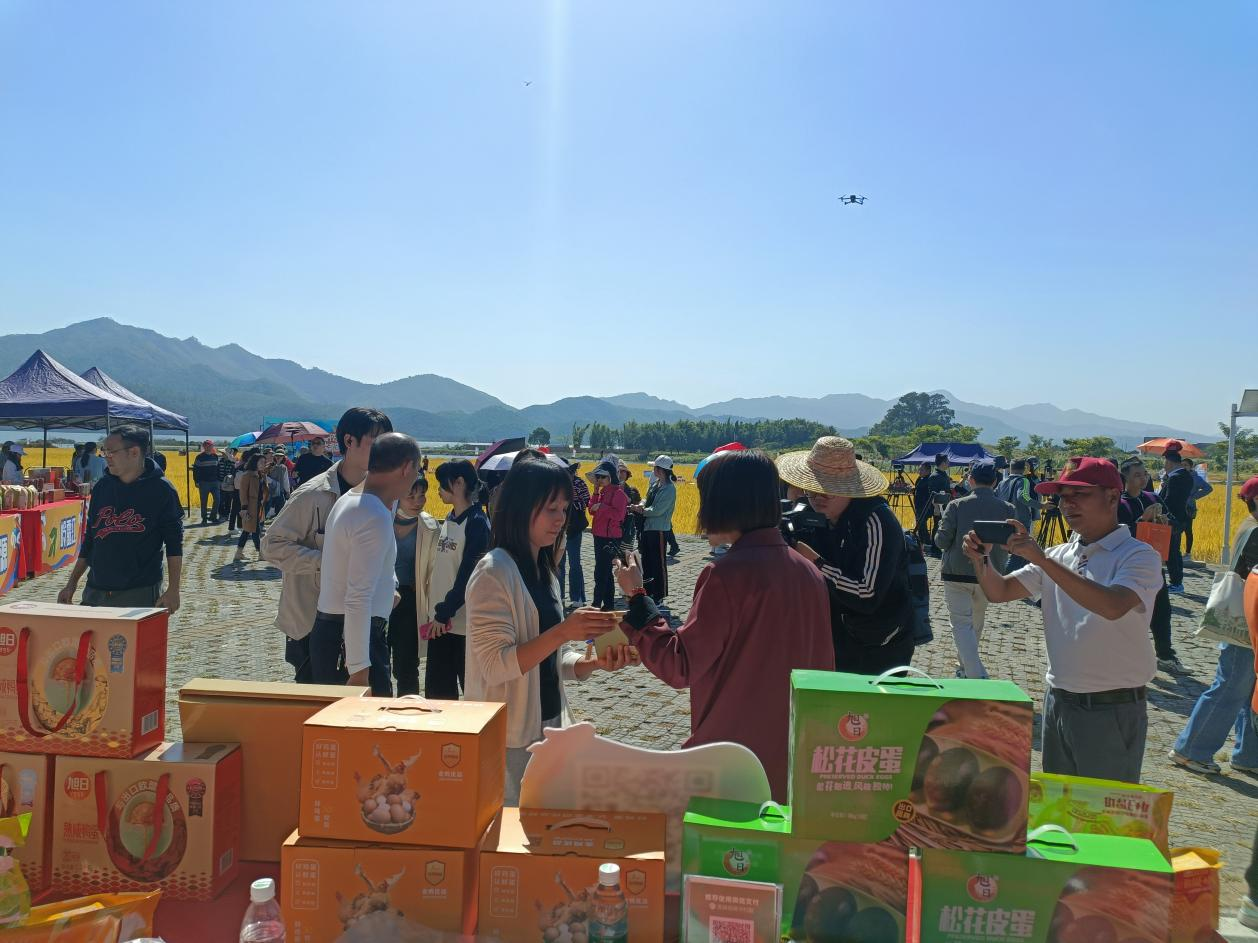 江门开平市举行捕鱼节活动