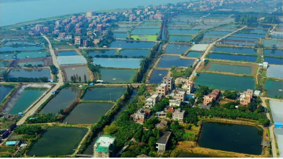 桑园围900年 开启海上丝绸之路新起点