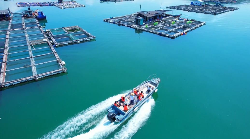 《外国留学生讲述中国故事》之《Hi,饶平》即将播出,敬请收看