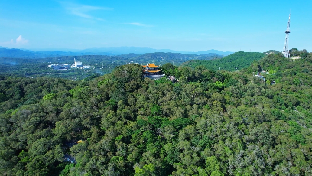 《外国留学生讲述中国故事》之《Hi,饶平》即将播出,敬请收看