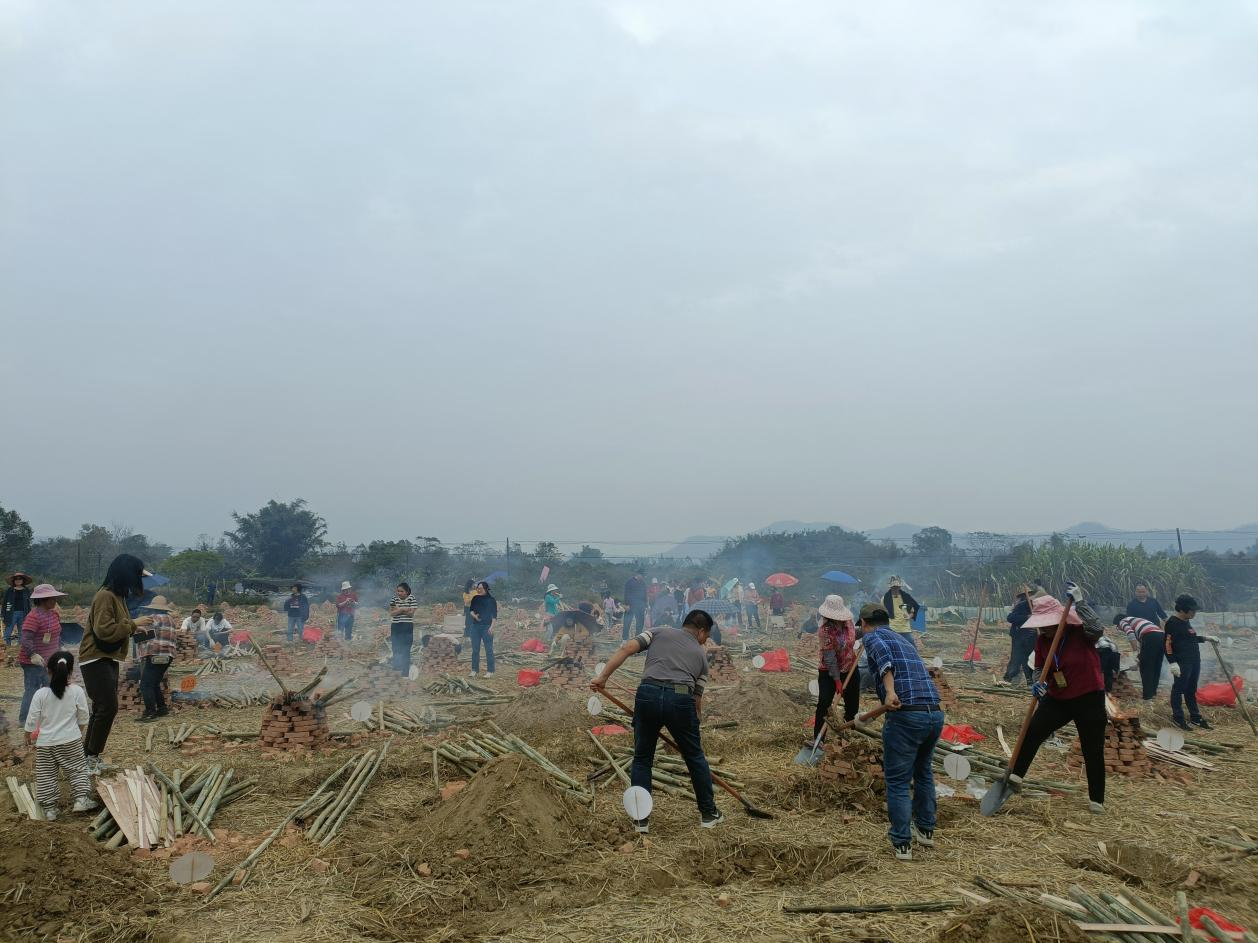 江门开平市金鸡镇美丽乡村文化旅游活动开幕 　