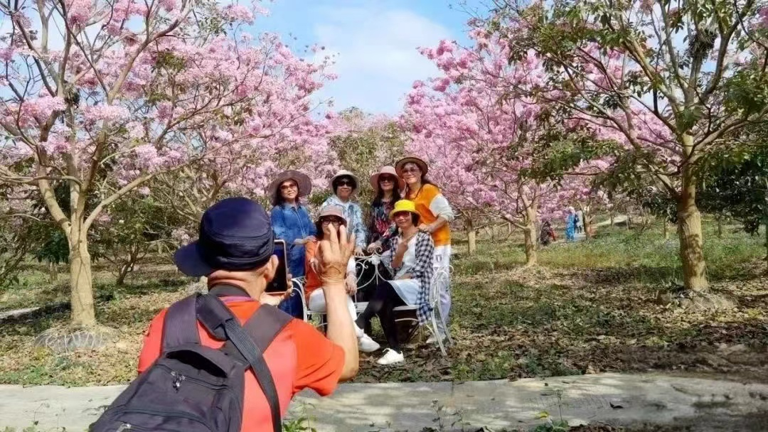 江门市新会区元旦假期接待游客近32万人次，旅游收入达1.35亿元