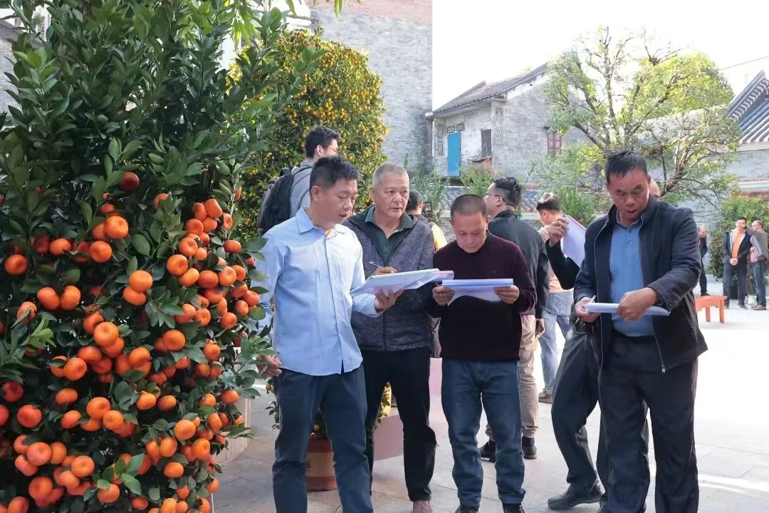 2024年陈村“桔王”新鲜出炉，展示新年吉祥如意