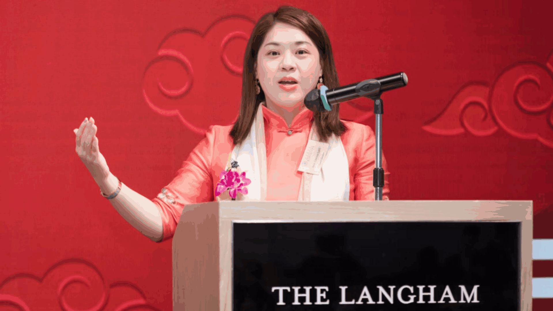 《二十三条立法》专题篇（七）