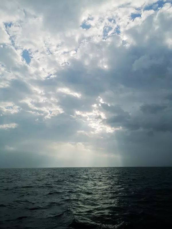 2024 东方鲲鹏泳渡大亚湾正在报名