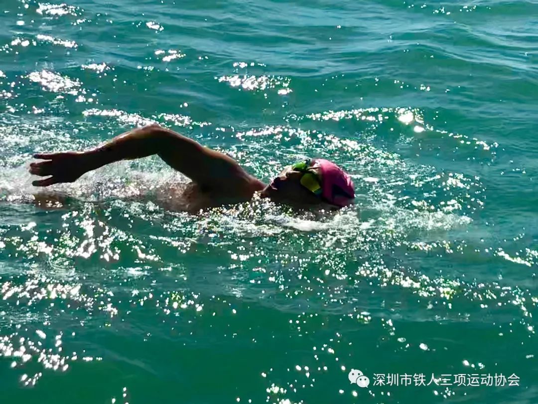 2024 东方鲲鹏泳渡大亚湾正在报名