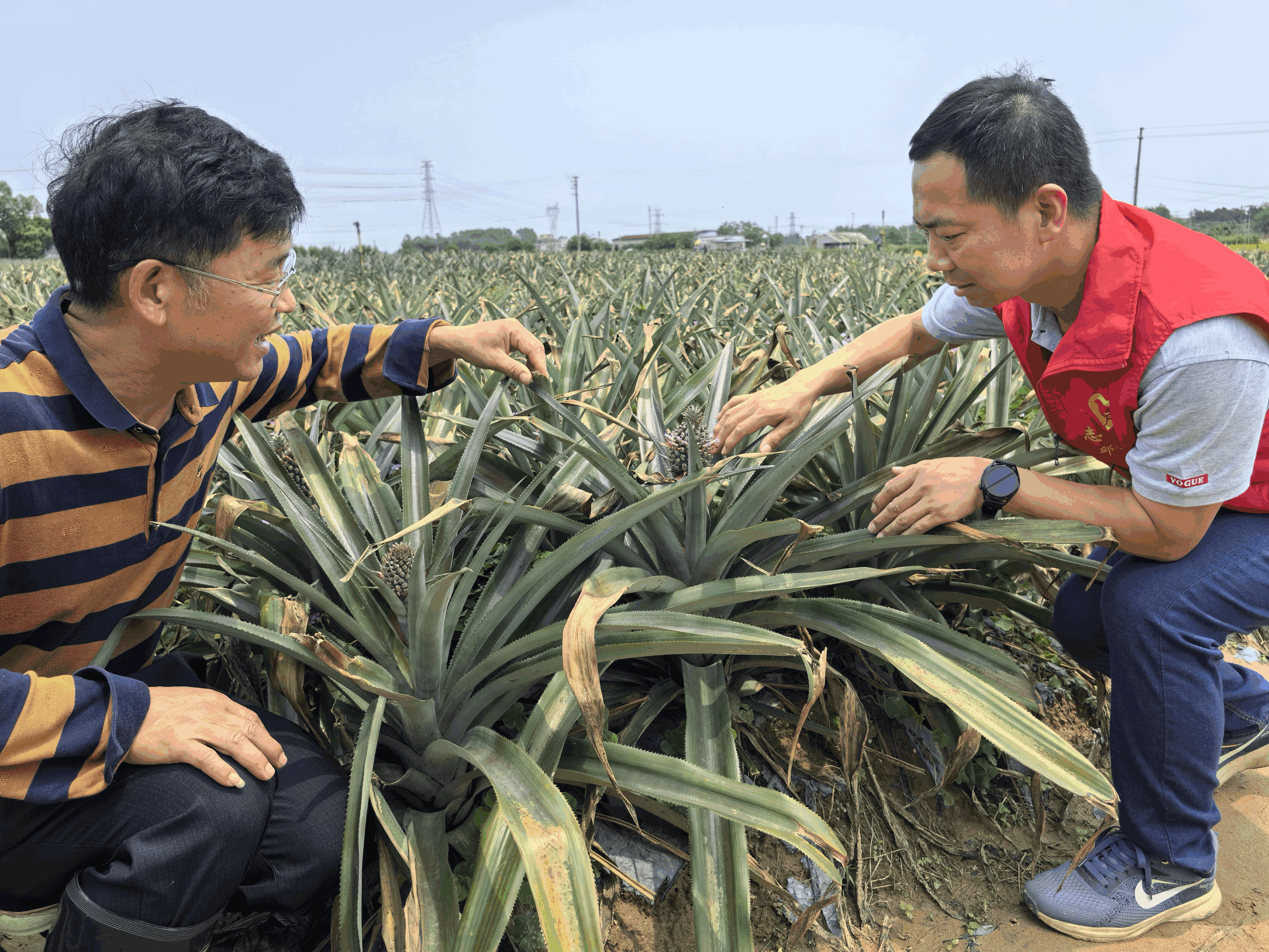 退役军人建功“新阵地” 开拓联产联销新模式为乡村振兴赋能