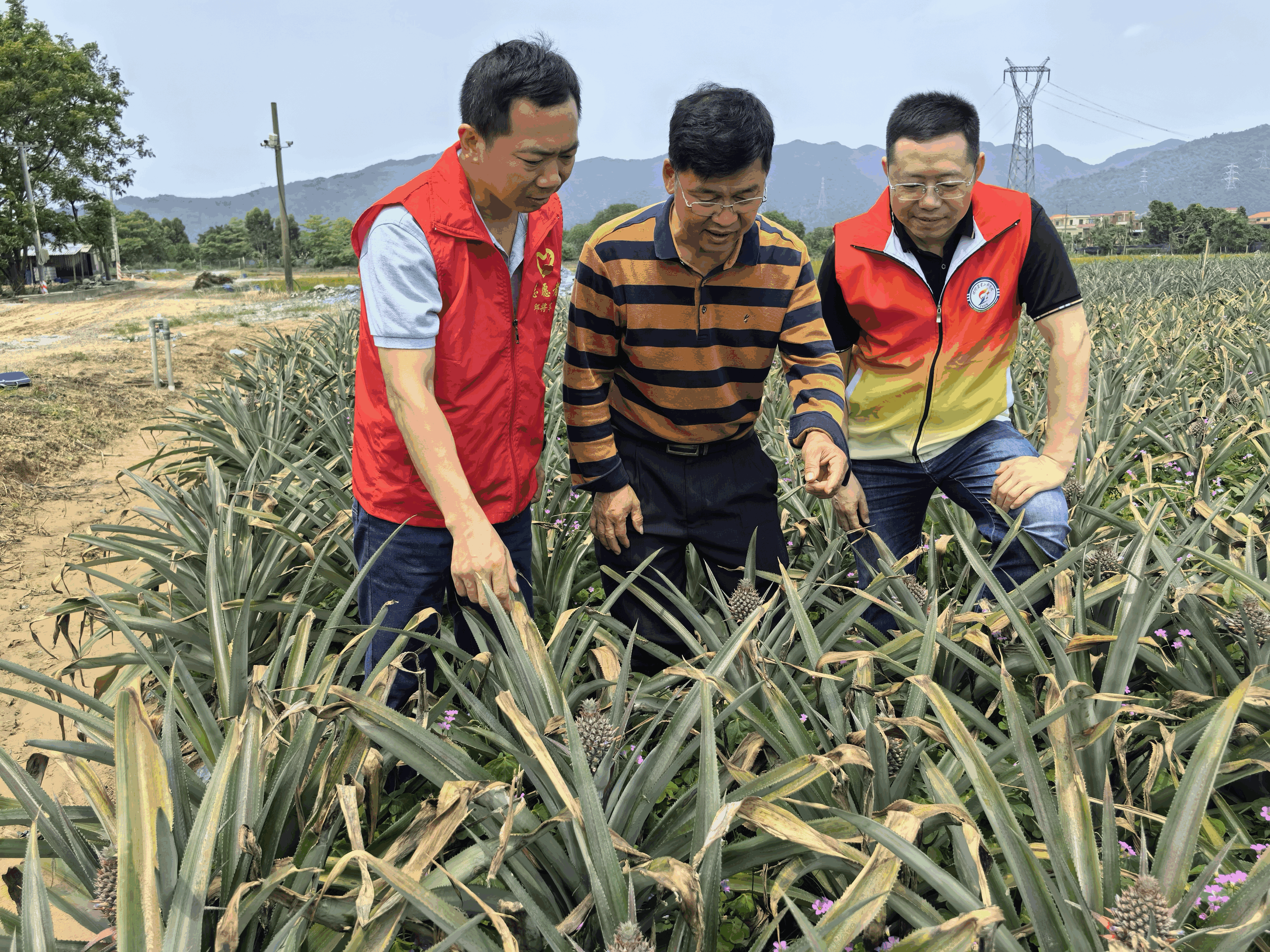 退役军人建功“新阵地” 开拓联产联销新模式为乡村振兴赋能