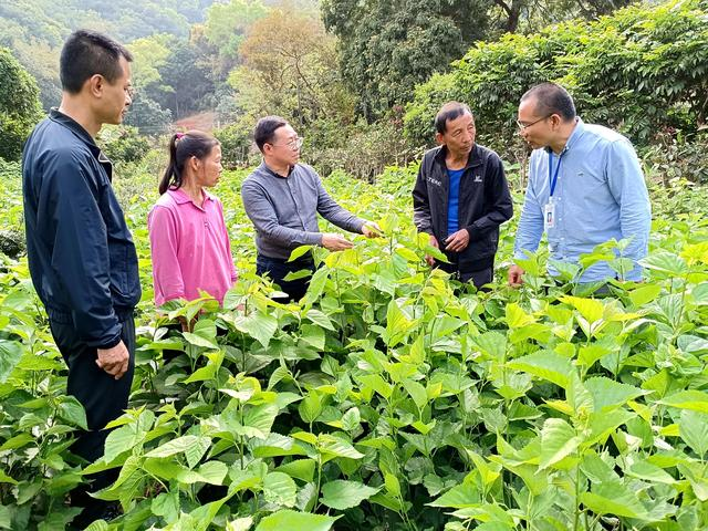 退役军人建功“新阵地” 开拓联产联销新模式为乡村振兴赋能