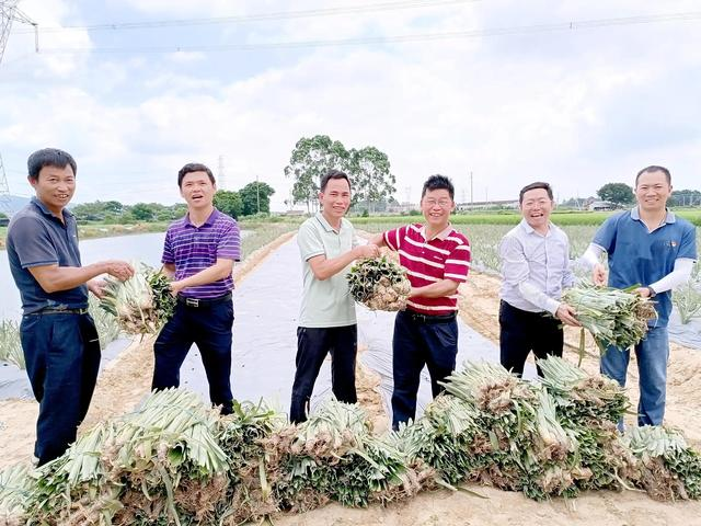 退役军人建功“新阵地” 开拓联产联销新模式为乡村振兴赋能