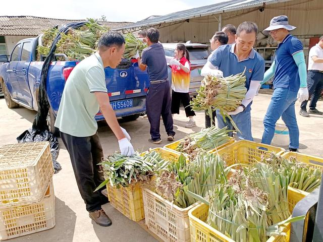 退役军人建功“新阵地” 开拓联产联销新模式为乡村振兴赋能