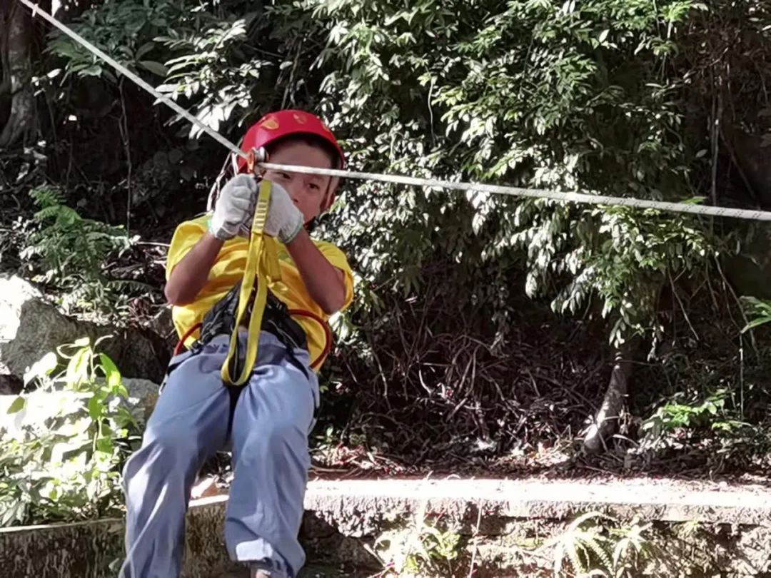 2024五一森林探索研学营