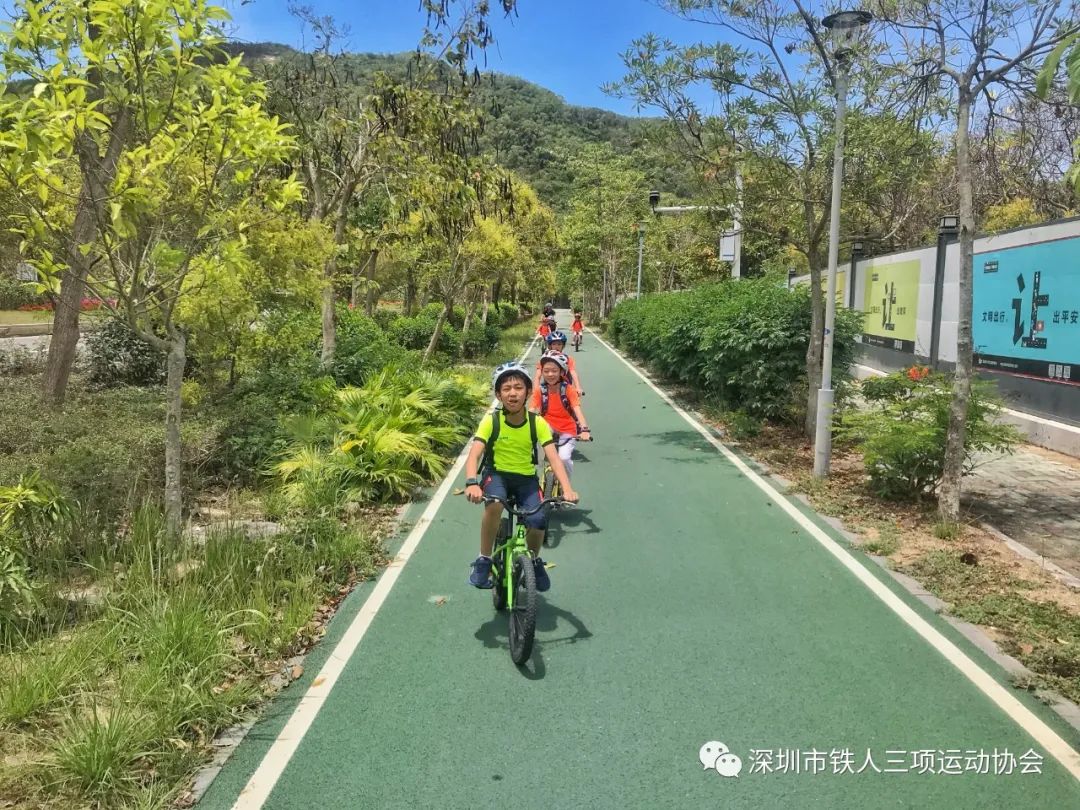 2024五一森林探索研学营