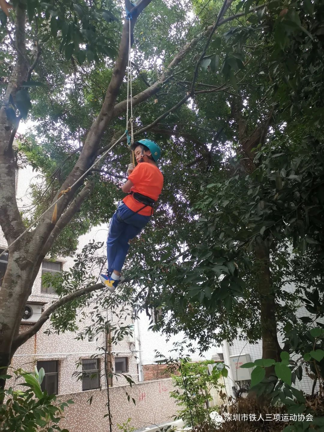 2024五一森林探索研学营