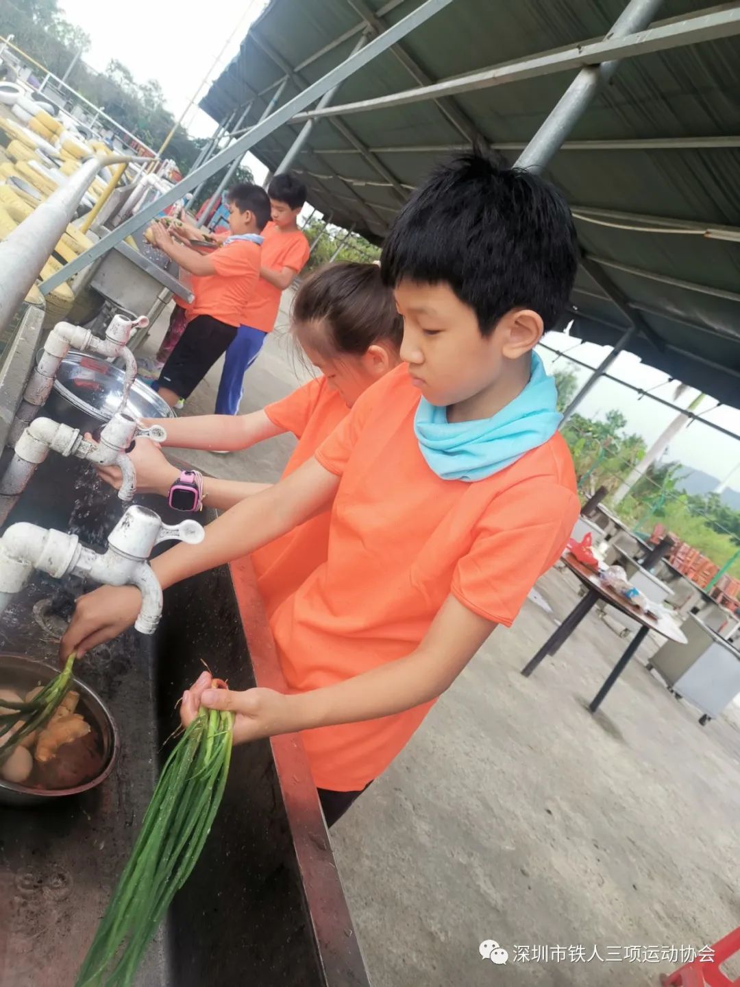 2024五一森林探索研学营