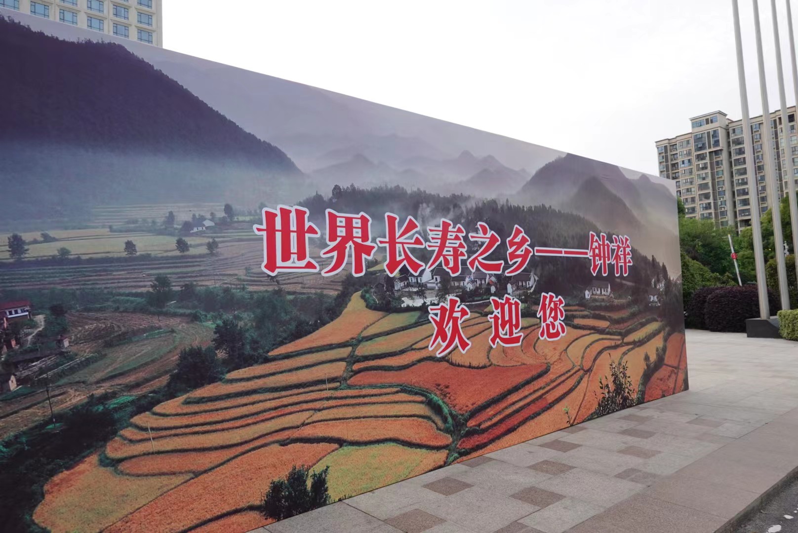 钟祥市“长寿食品推介活动”在钟祥市王府大酒店举行