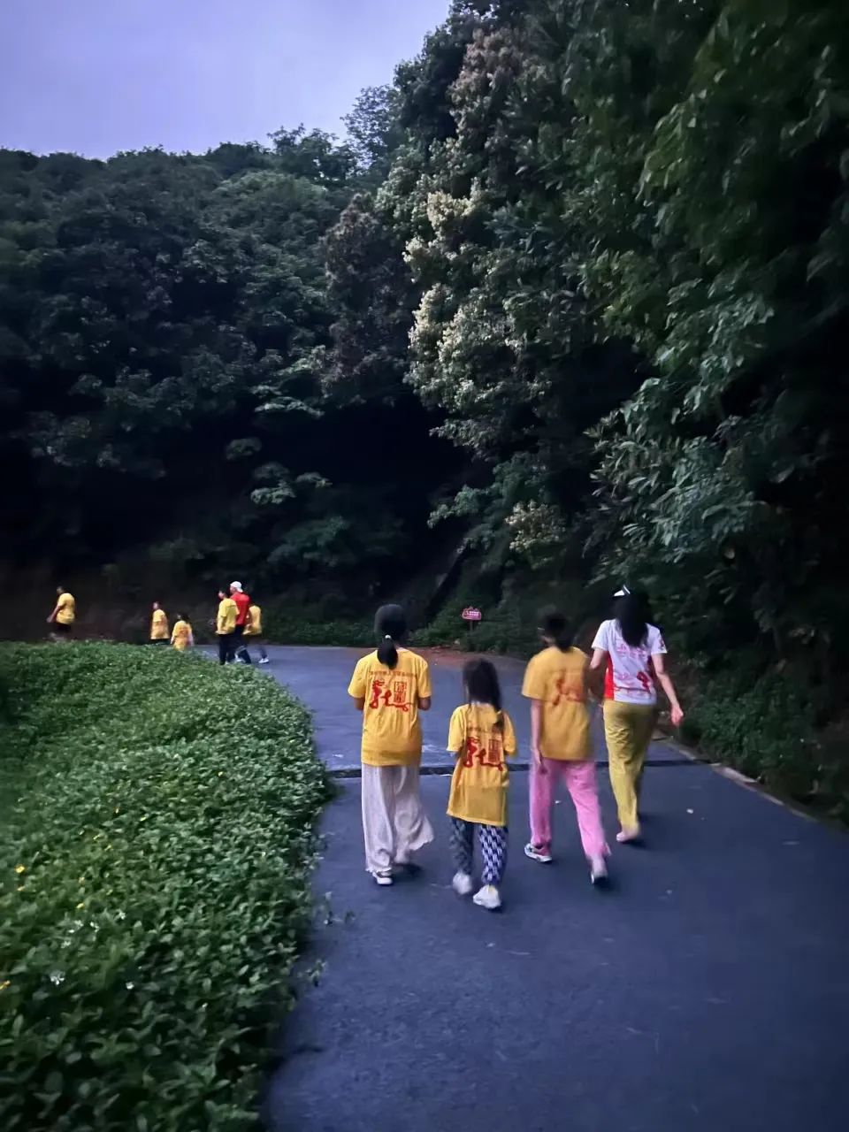 五一节深圳罗田森林公园小铁人夏令营回顾