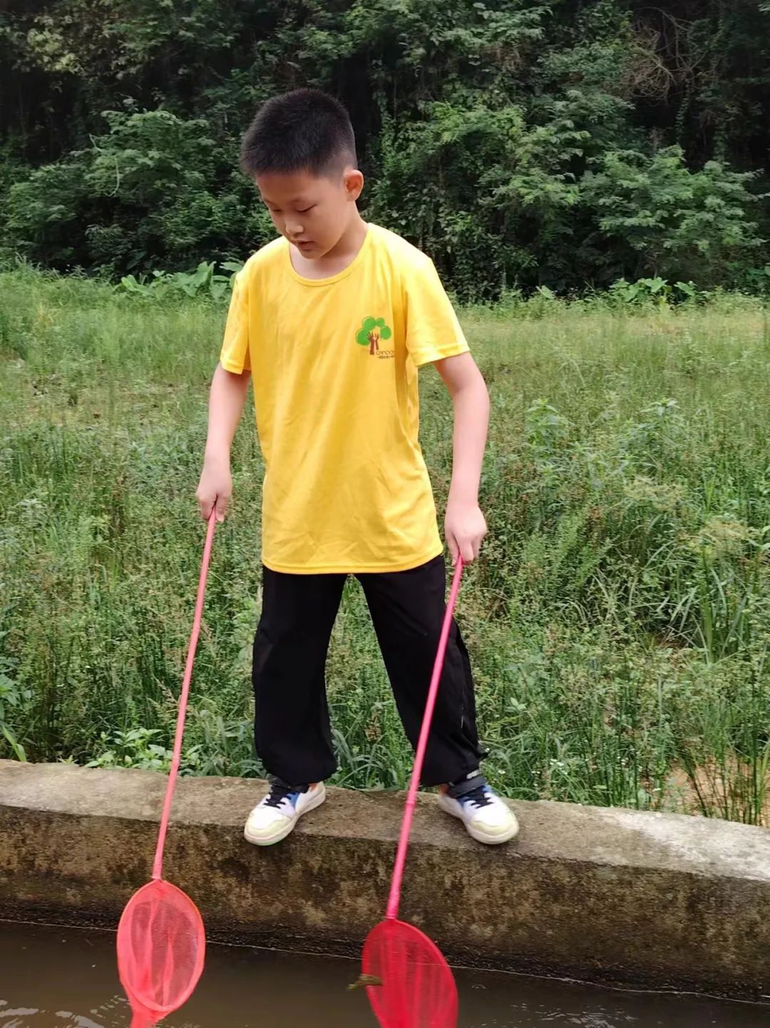 五一节深圳罗田森林公园小铁人夏令营回顾