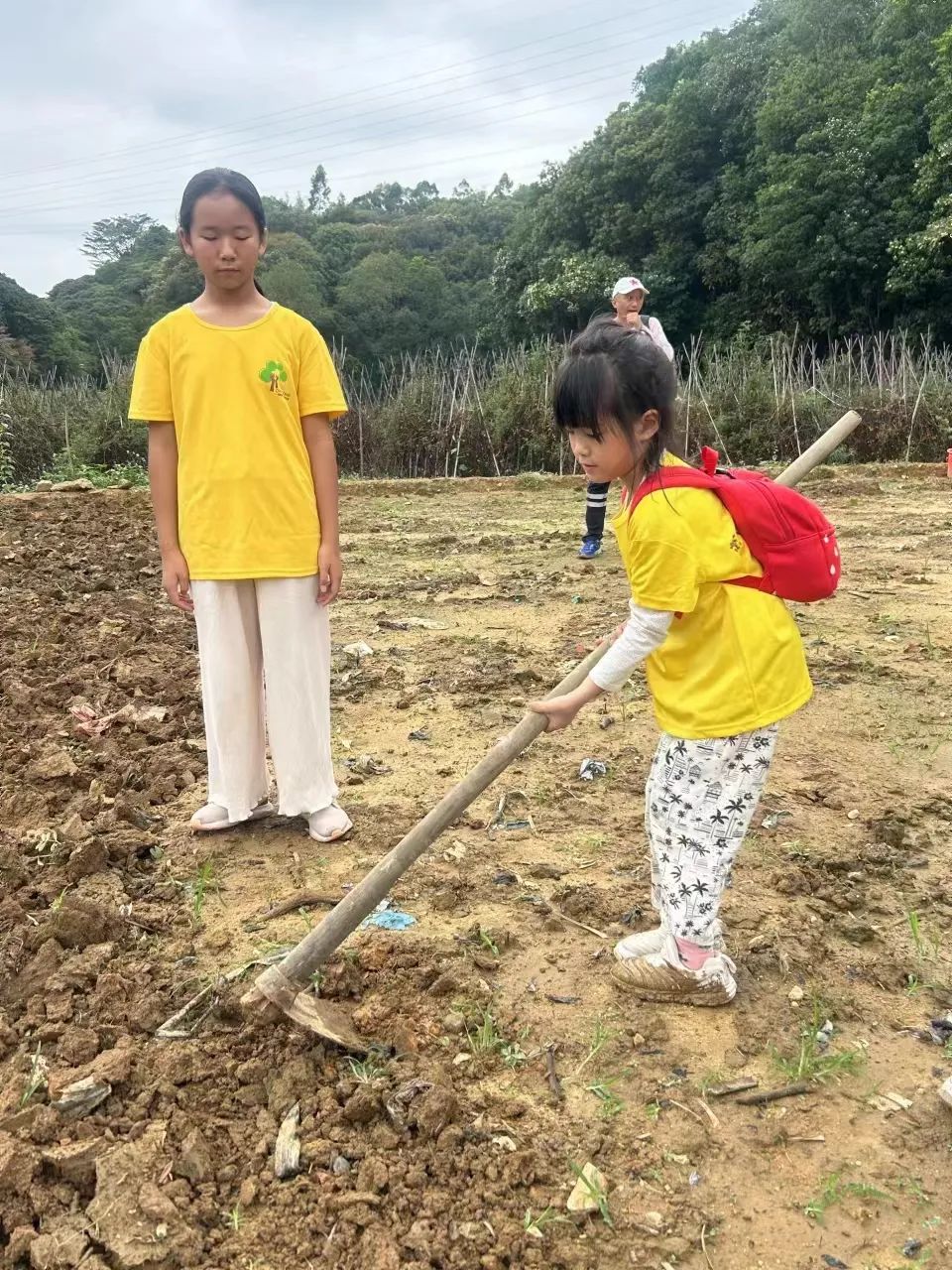 五一节深圳罗田森林公园小铁人夏令营回顾