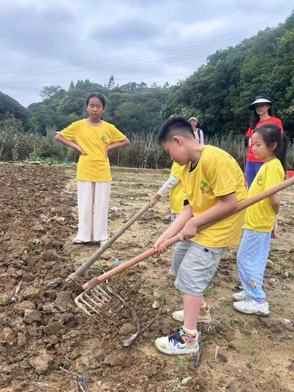 五一节深圳罗田森林公园小铁人夏令营回顾