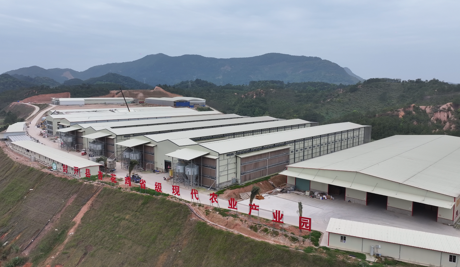 封开党建引领“赋能”助力“百千万工程”