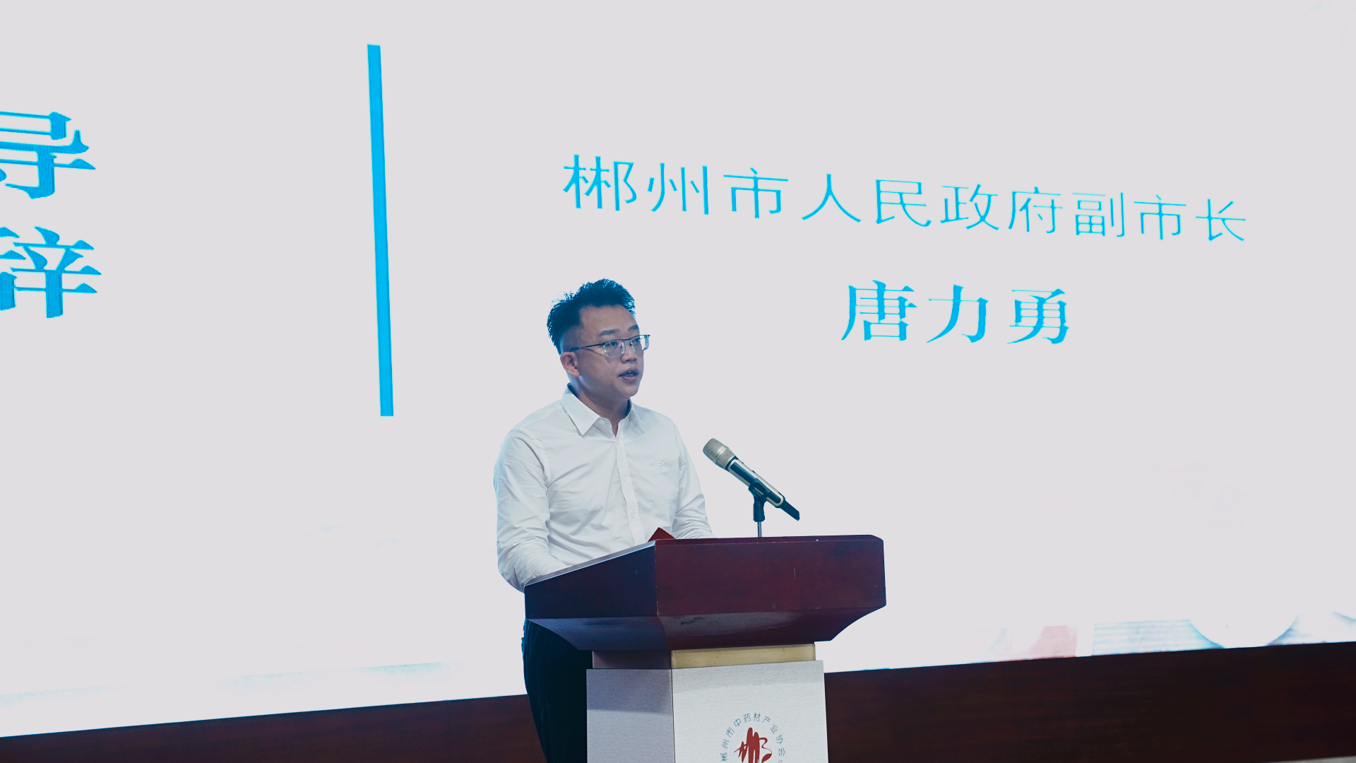 2024年中国(郴州)首届中医药产业发展大会顺利召开:群英荟萃  共创中医药新蓝图