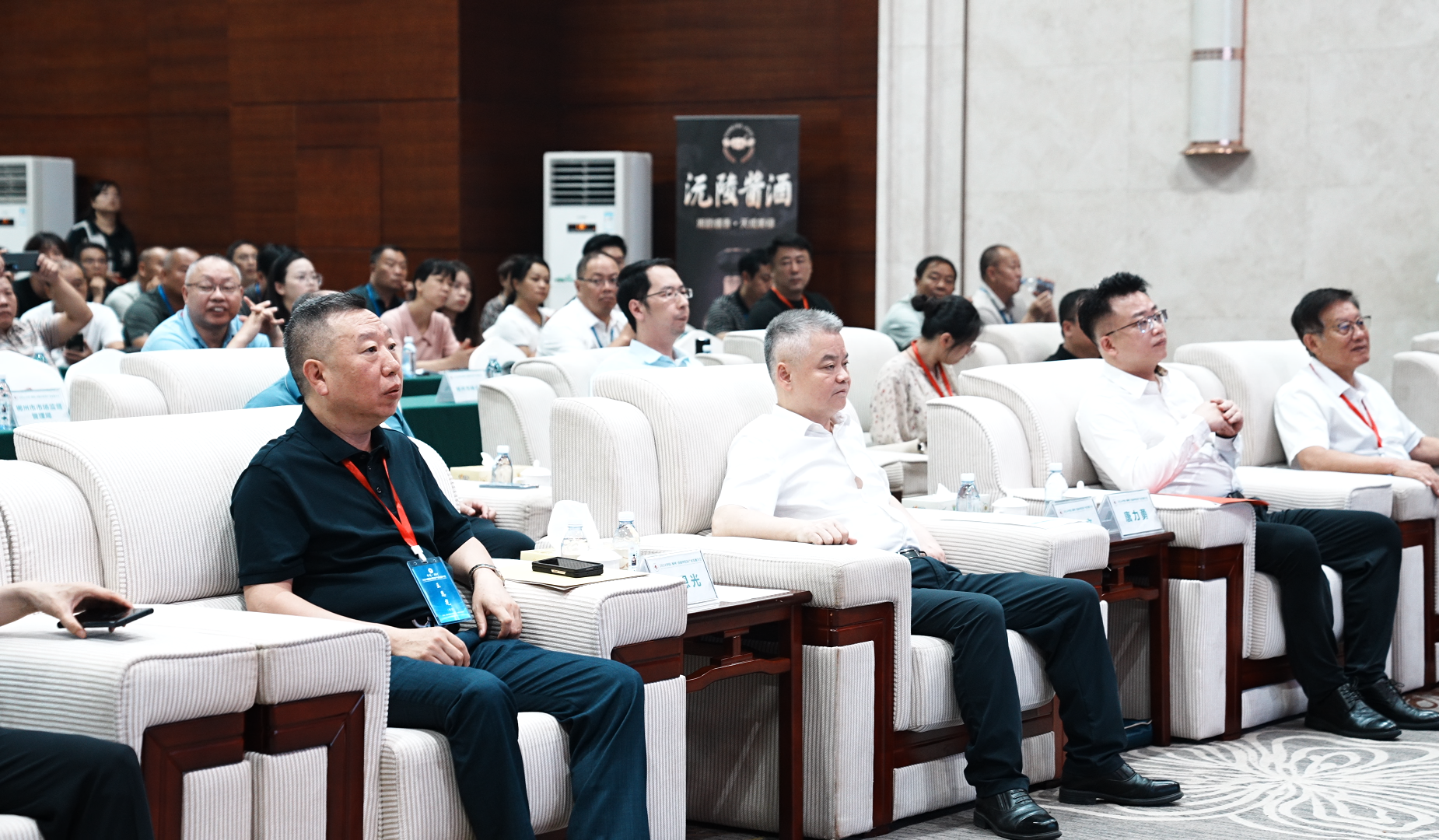 2024年中国(郴州)首届中医药产业发展大会顺利召开:群英荟萃  共创中医药新蓝图