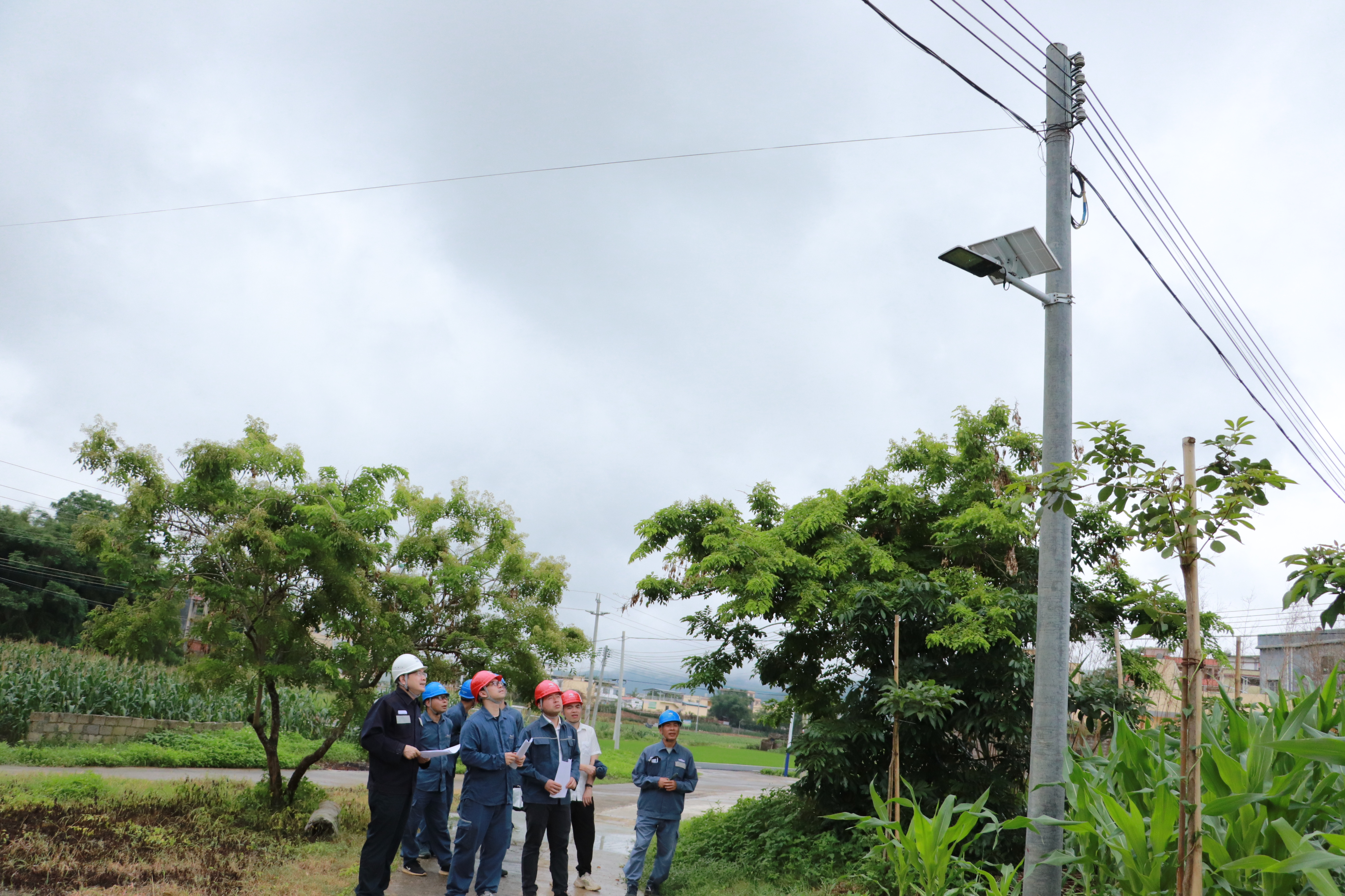 封开供电聚焦“百千万工程”,赋能乡村电气化示范村建设