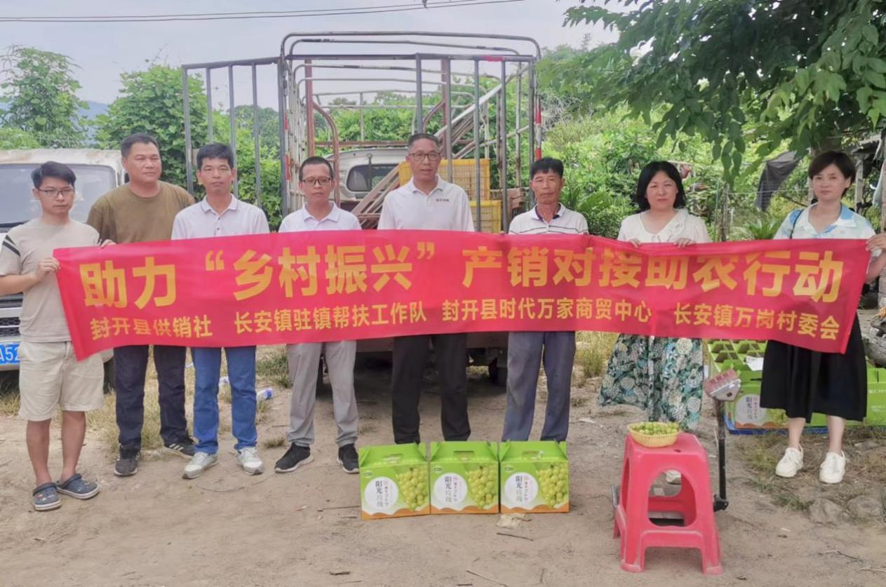多方携手助力长安葡萄销售保农收益
