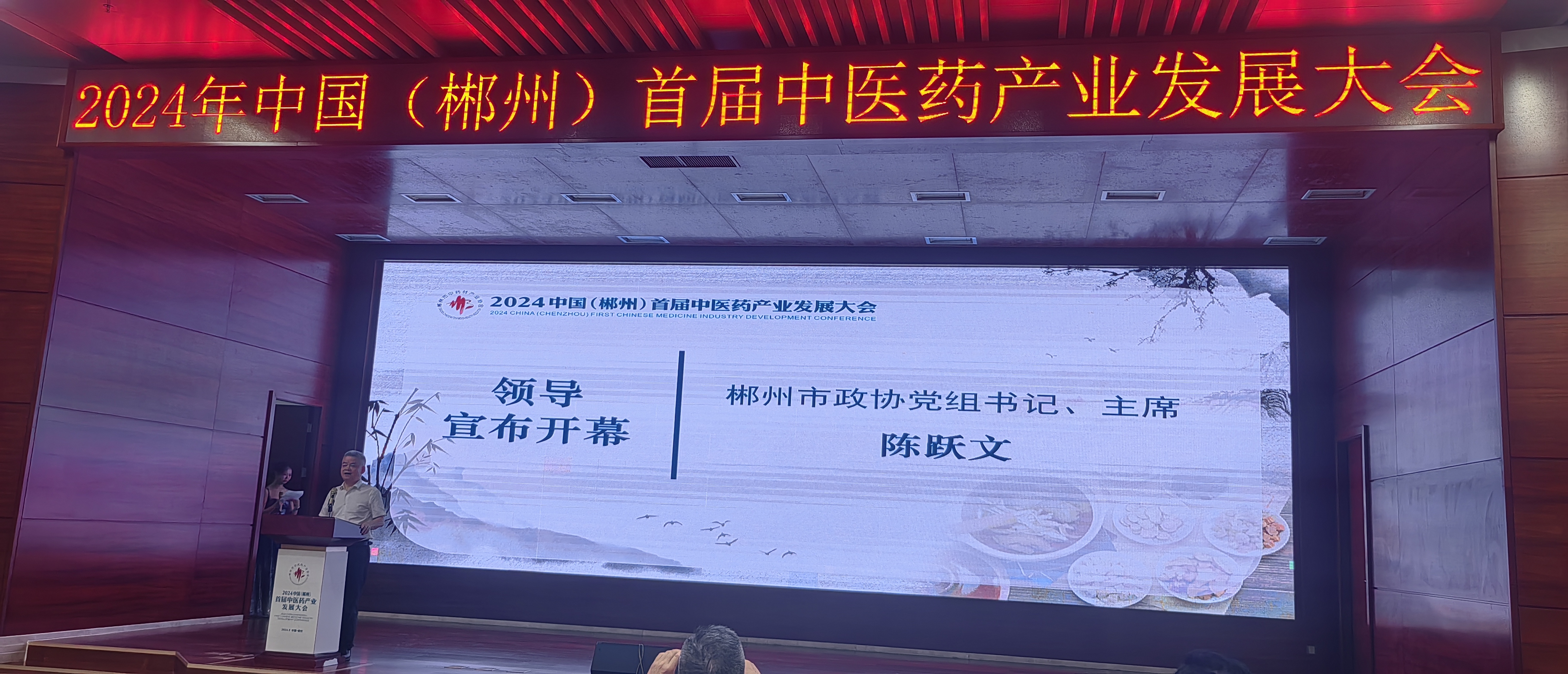 2024年中国(郴州)首届中医药产业发展大会顺利召开:群英荟萃  共创中医药新蓝图