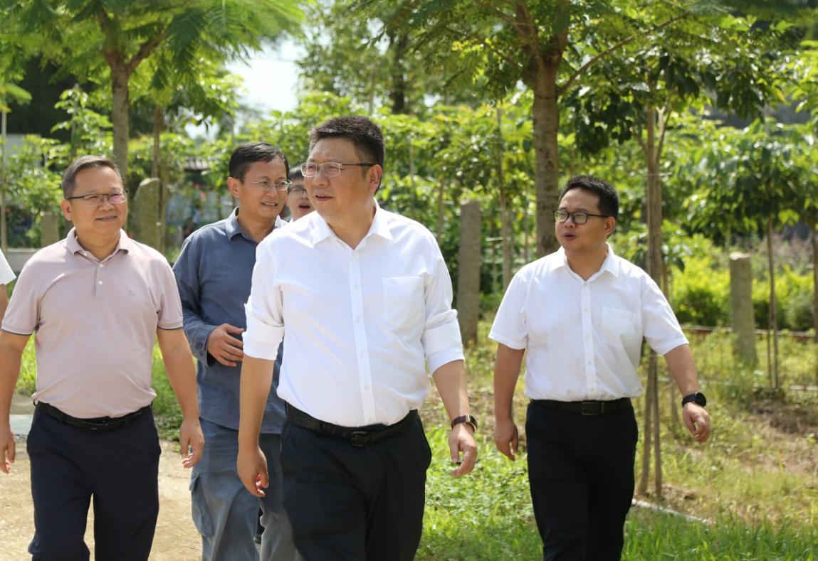 打造“五个一”特色便民服务平台,建设绿美新圩